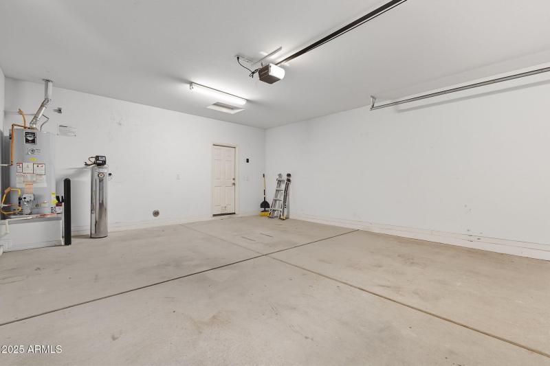 38-web-or-mls-Tulip-38