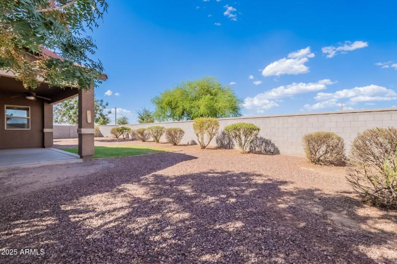 43-web-or-mls-Tulip-43