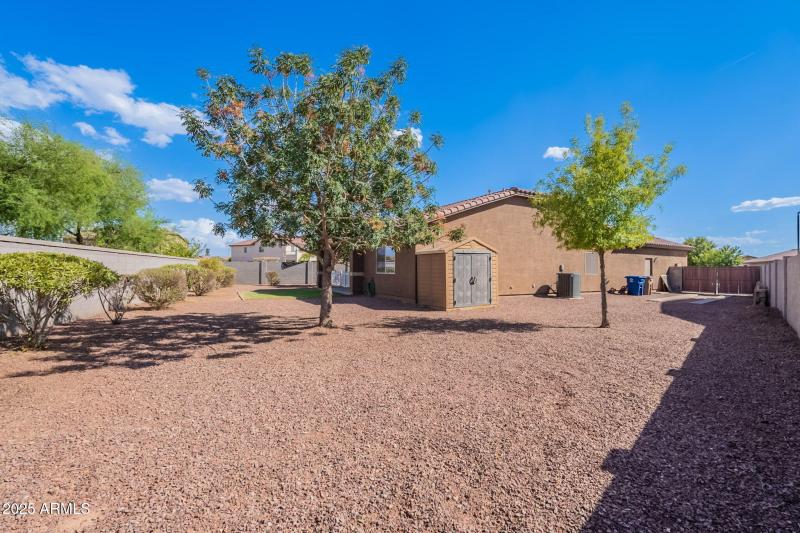 45-web-or-mls-Tulip-45