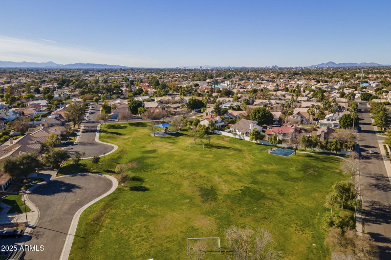 59-web-or-mls-Mallard-59