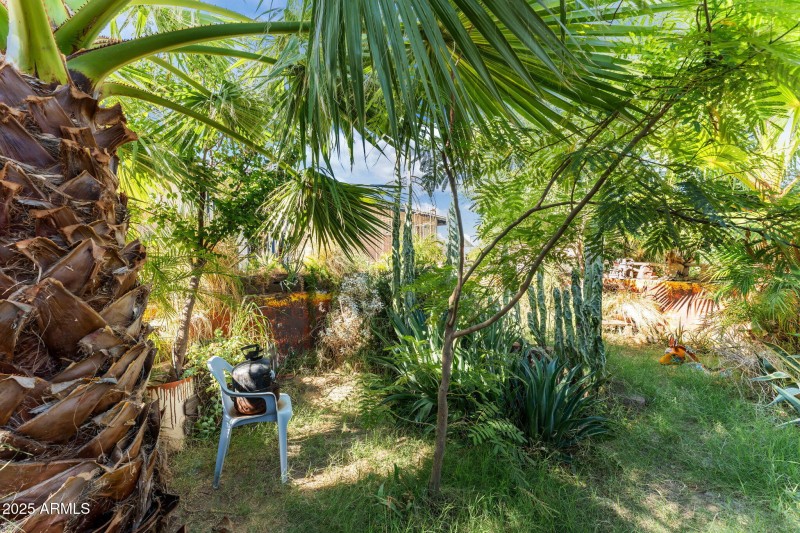 21-web-or-mls-DSC09574