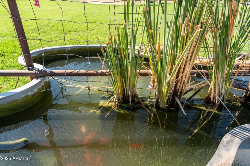 32-web-or-mls-DSC09634