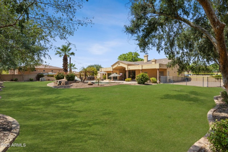 Backyard Corner View