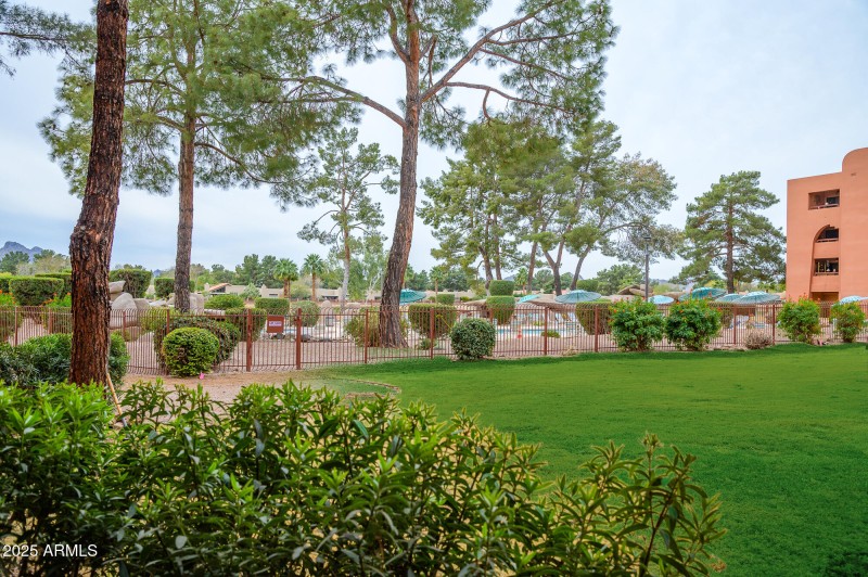 Beautiful View From Patio