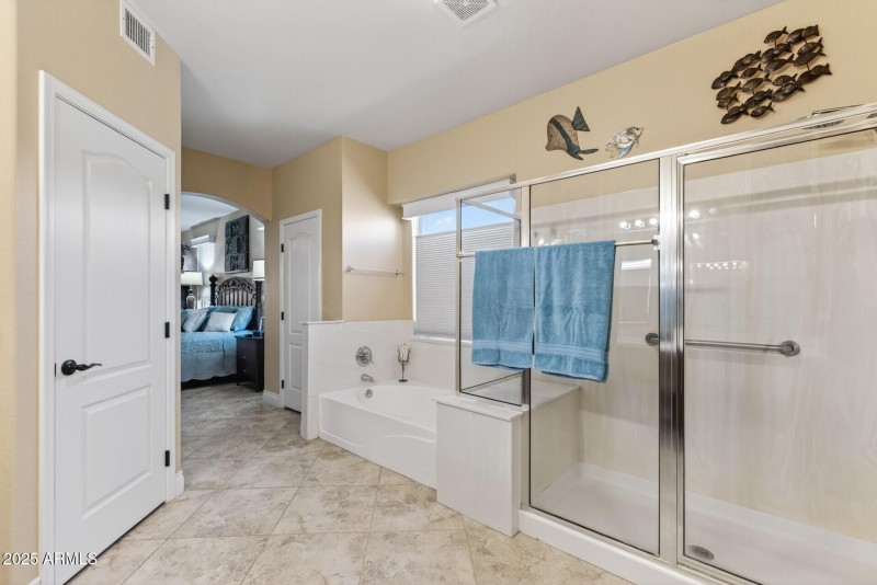 Owner's Bath