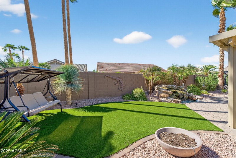 Back Yard