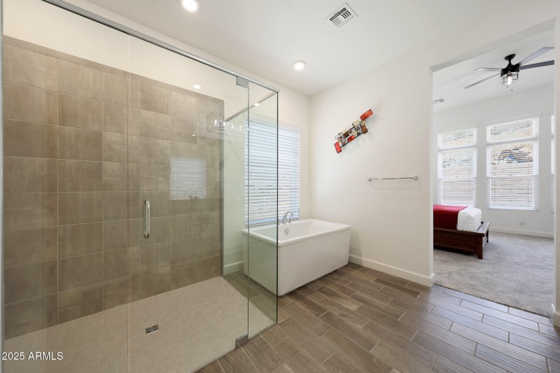 Primary Shower