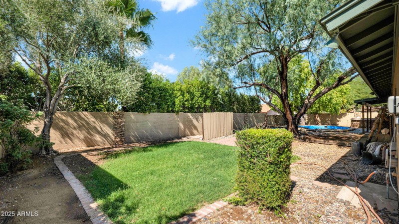 33-web-or-mls-P1164637
