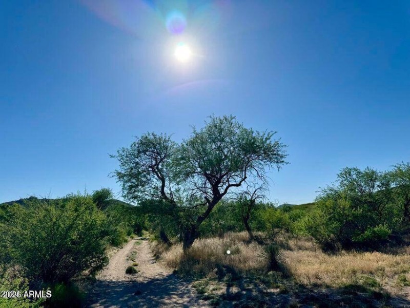 20250312083429021583000000-o (1)