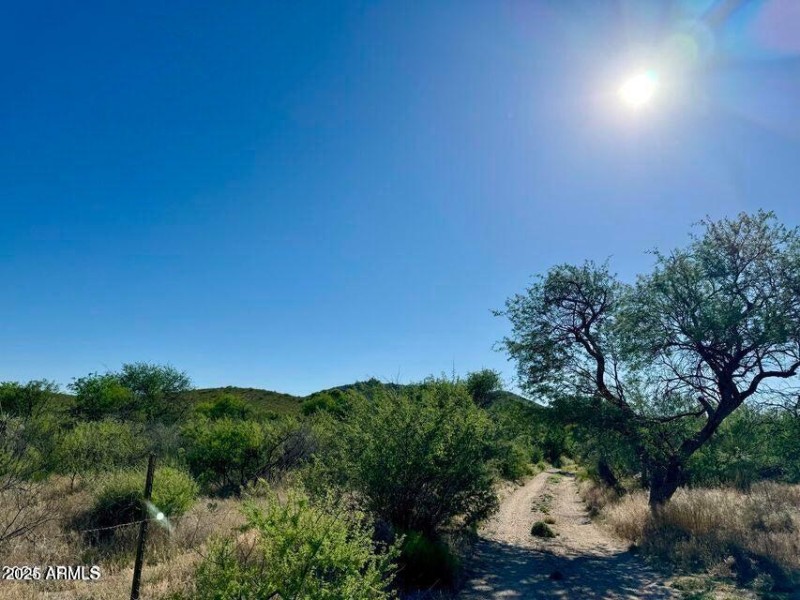 20250312083849405675000000-o (1)