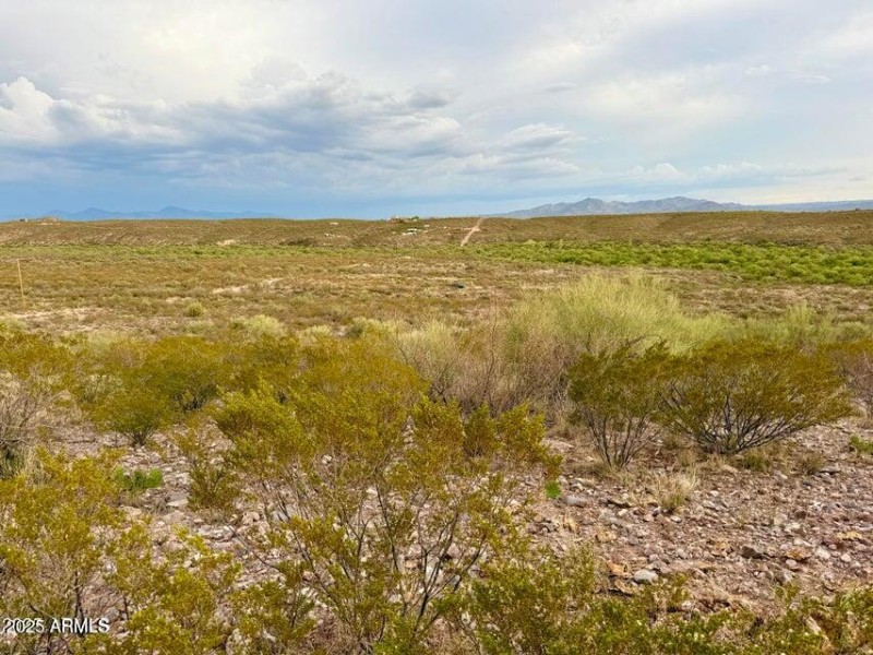 20250721102301199161000000-o