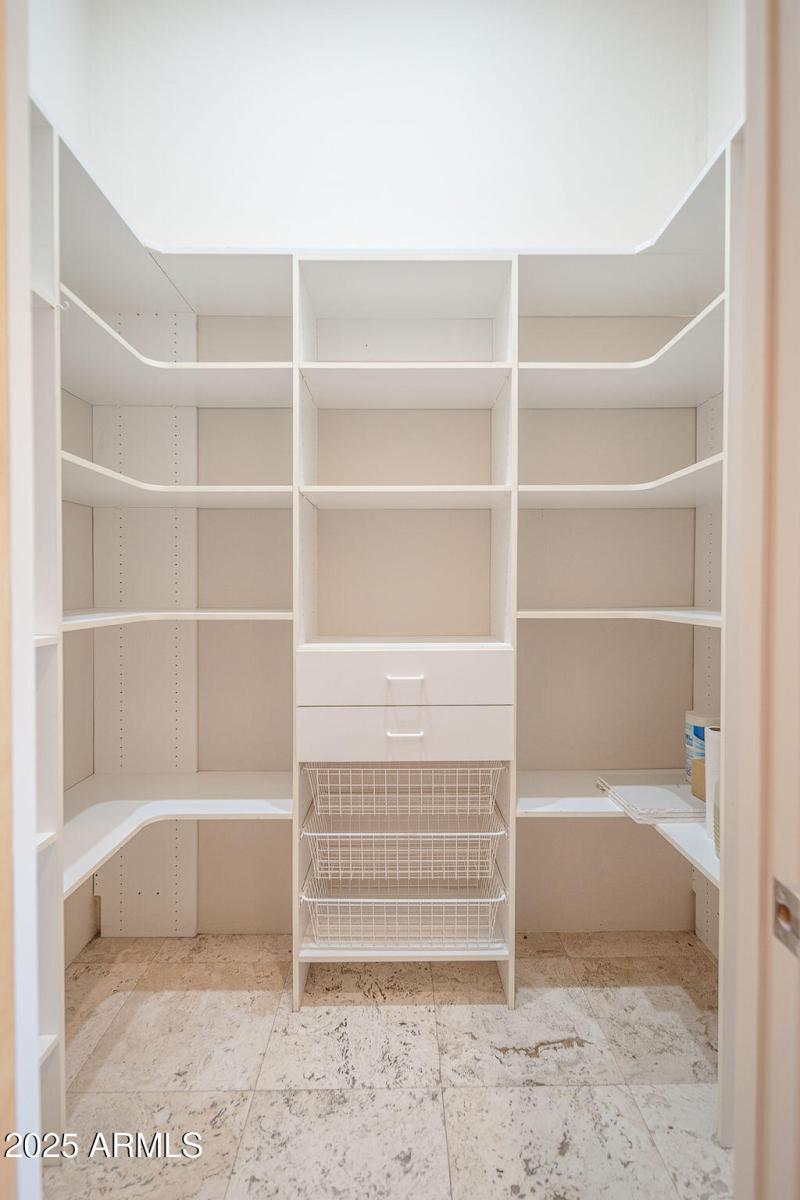 20250911_8170-E-Golden-Spur_10