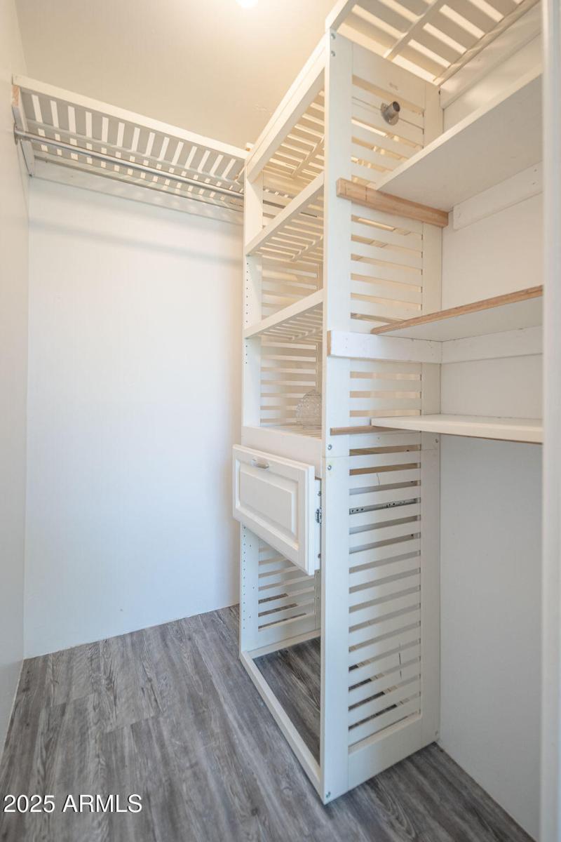 20250911_8170-E-Golden-Spur_28