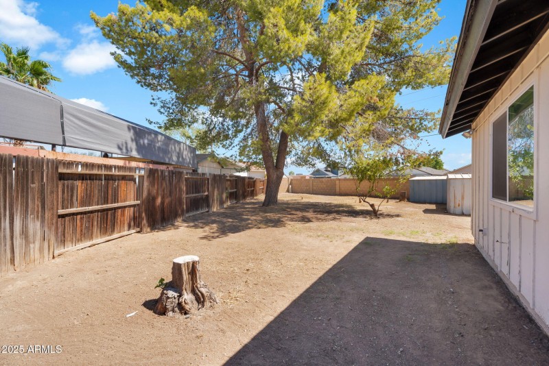 52-web-or-mls-DSC06043