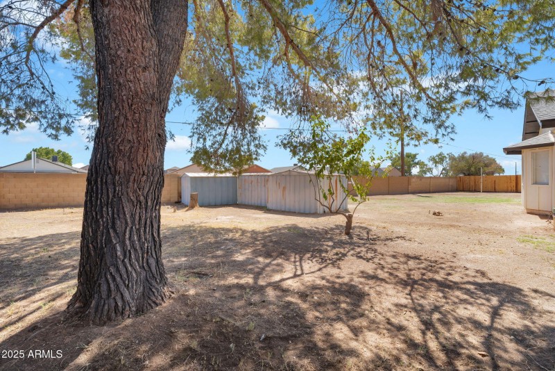 54-web-or-mls-DSC06048