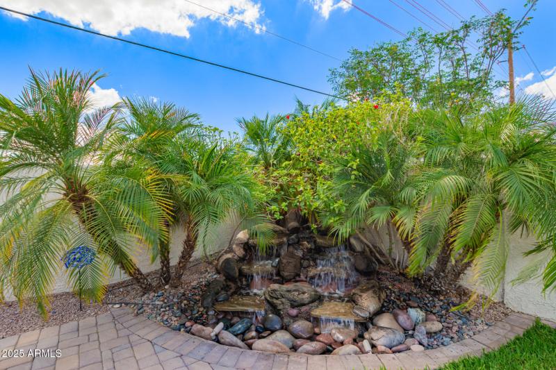 Water feature in backyard