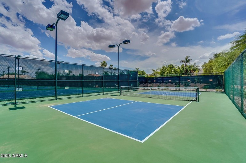 Pickleball Court