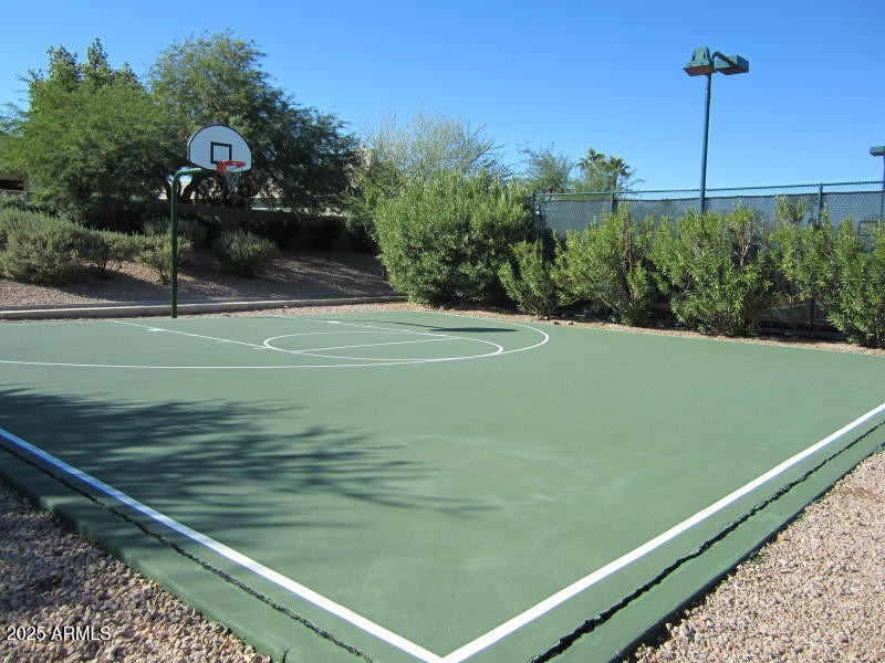 Basketball Court