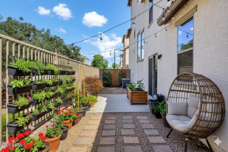 Gemini_Generated_Image_q63e3xq63e3xq63e