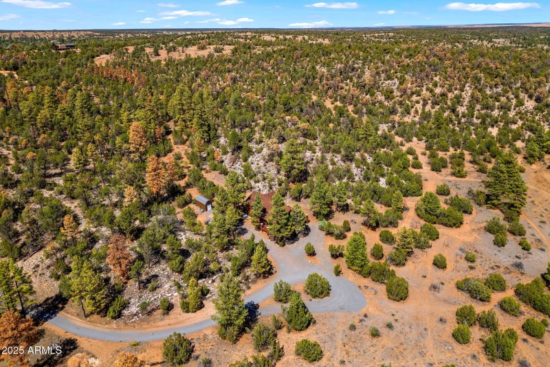 Drone 4-2343EDoveTrailTrl-HeberOvergaard