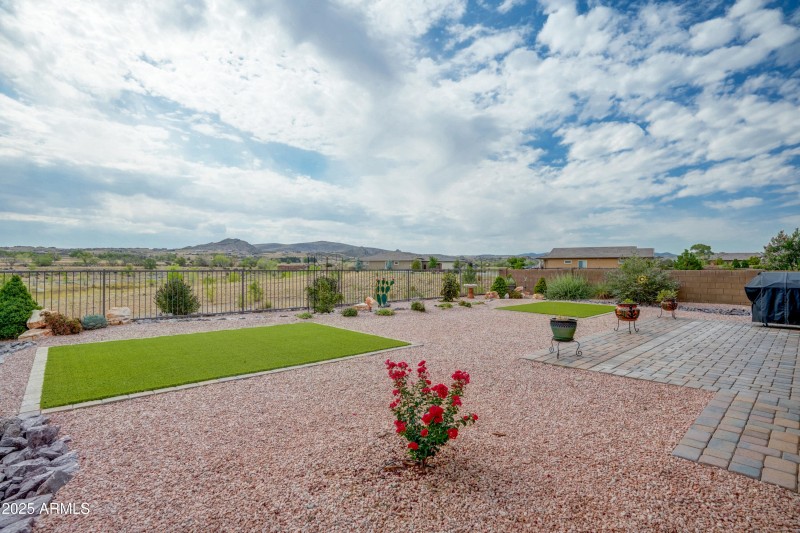 Back Yard 1