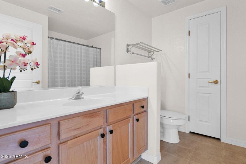 Guest bathroom