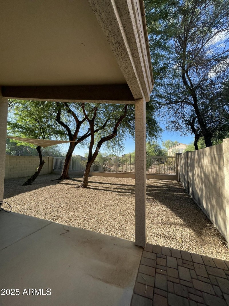 Backyard 1