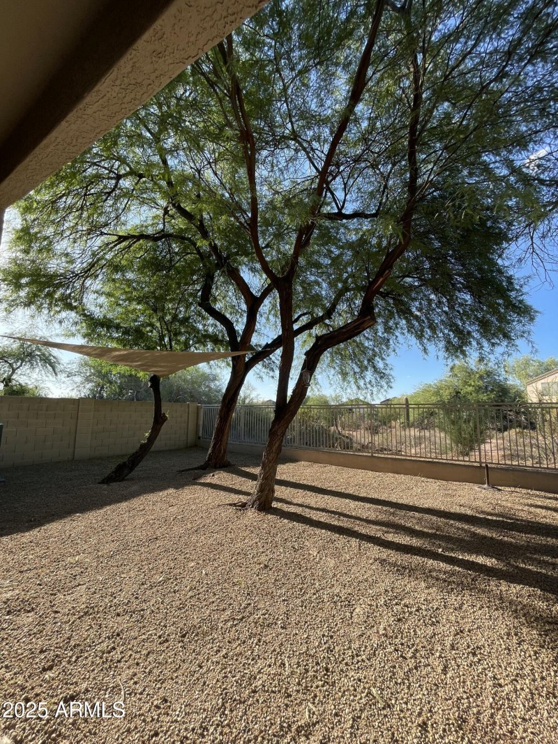 Backyard 2