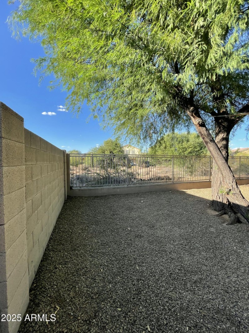 Backyard 3