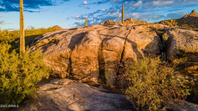 Showcase entrance rock wall
