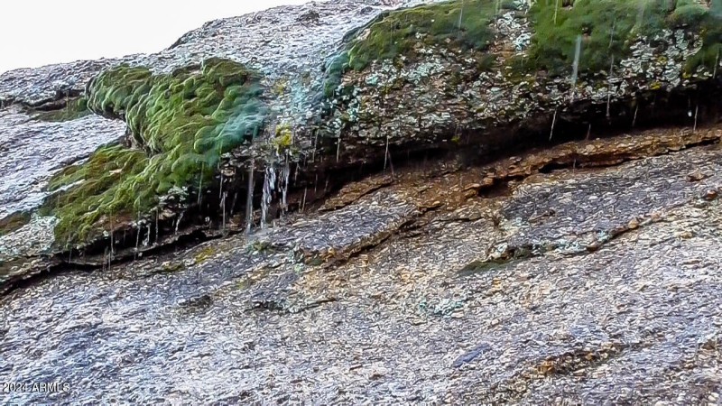 grotto as it rains on the moss on gthe c