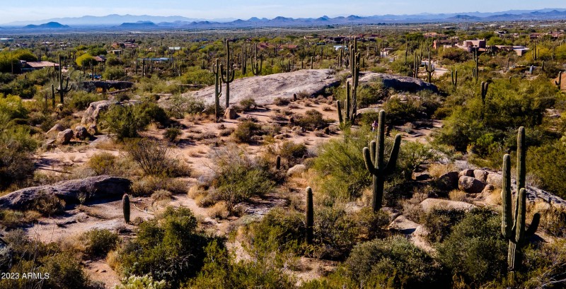 potential building area