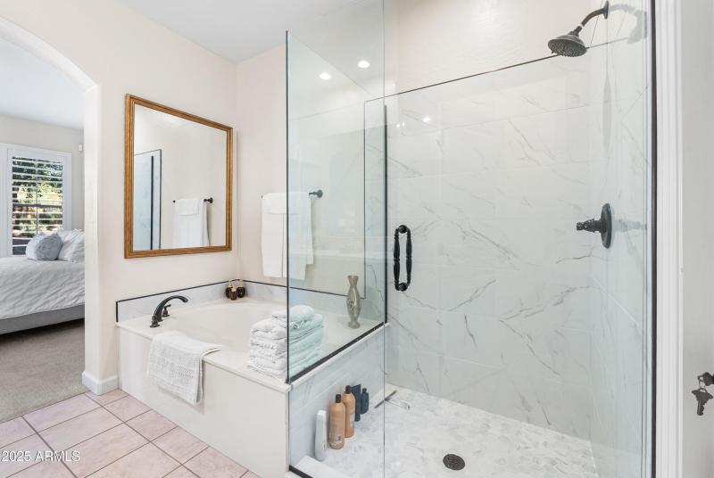 Primary Shower