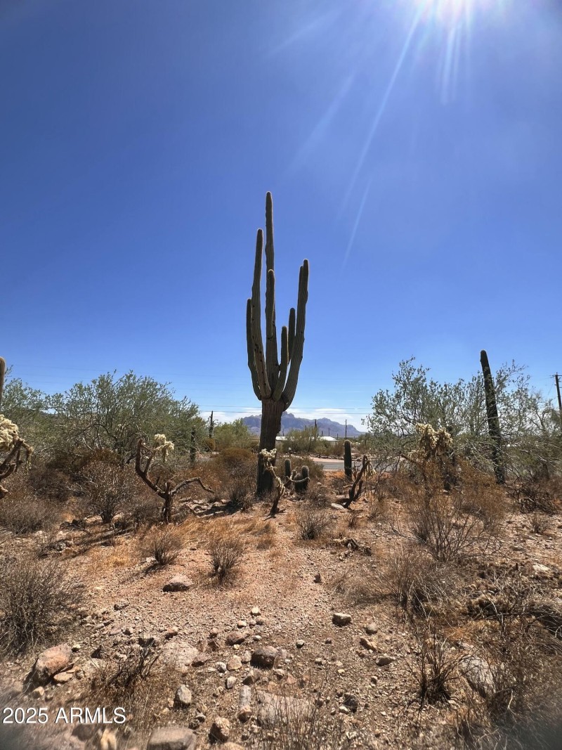 999338D7-2717-4719-9546-3B580CEED3E0