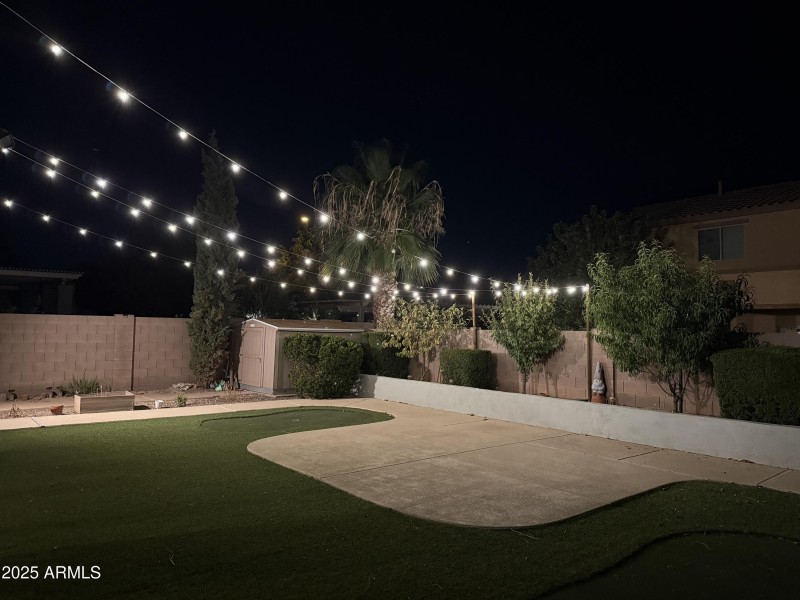 Backyard Night View