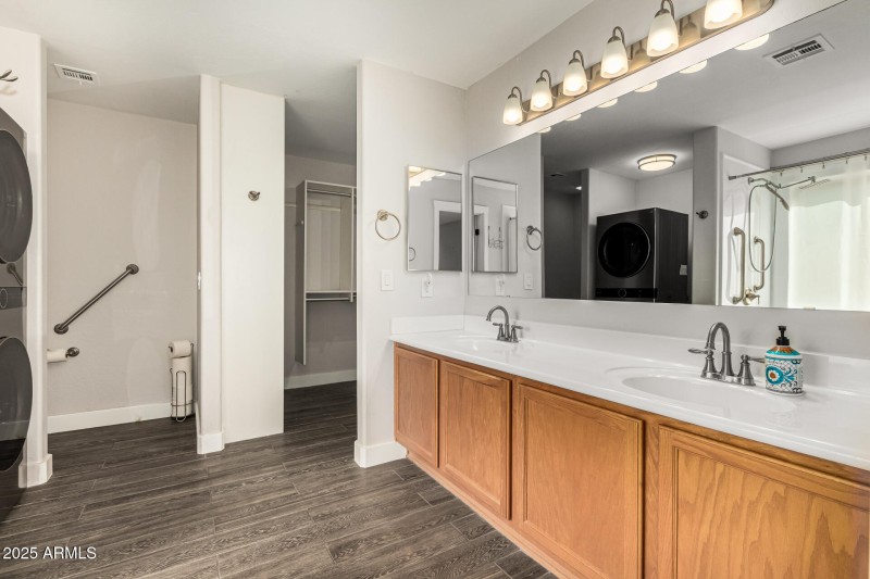 Primary Bath (downstairs)