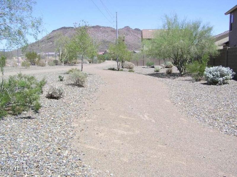 Walking path next to house