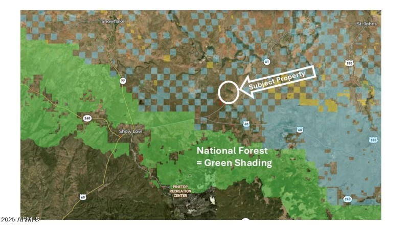Country Ln and National Forest