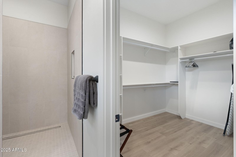 Master Bathroom Walk-in