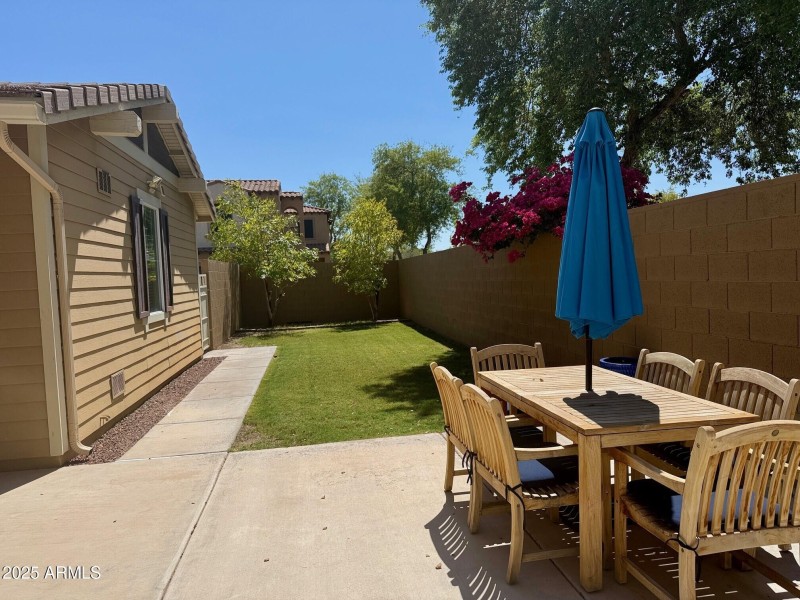 Backyard
