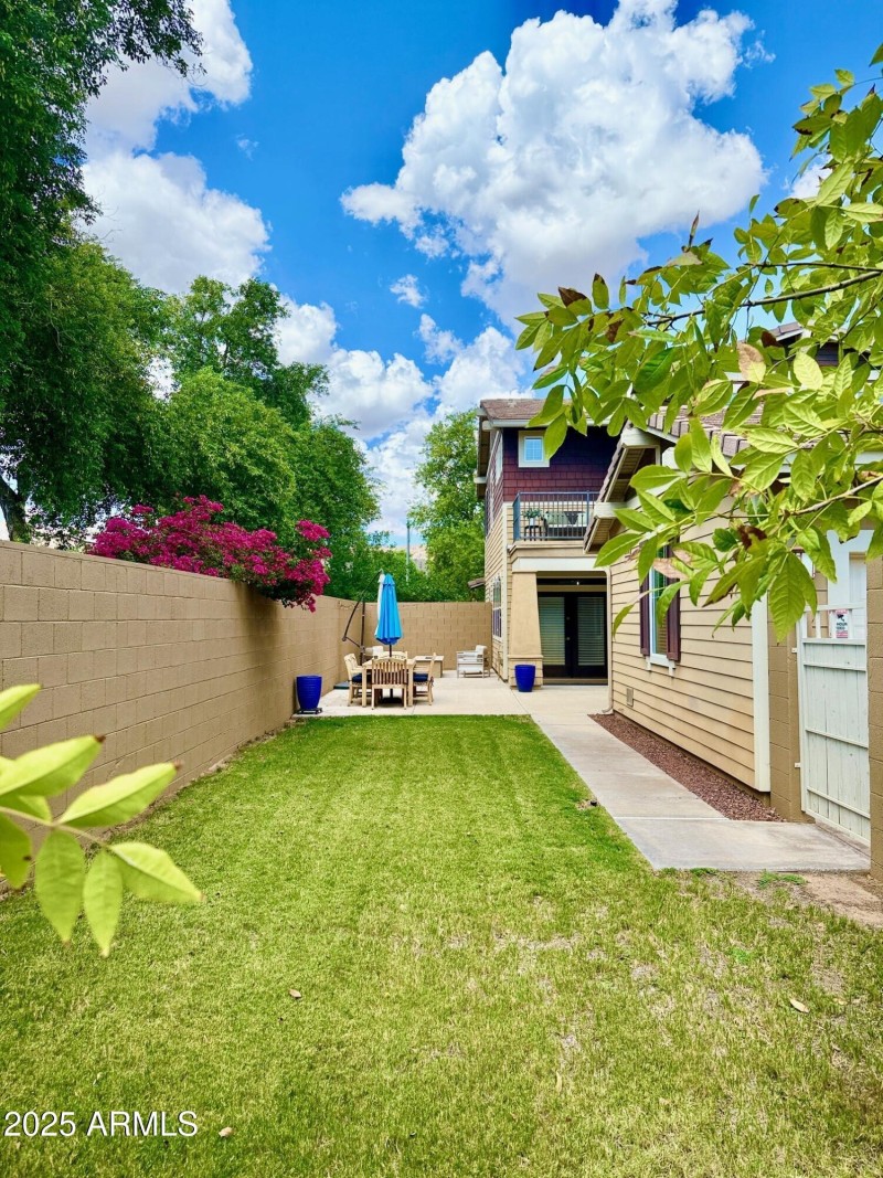 Backyard