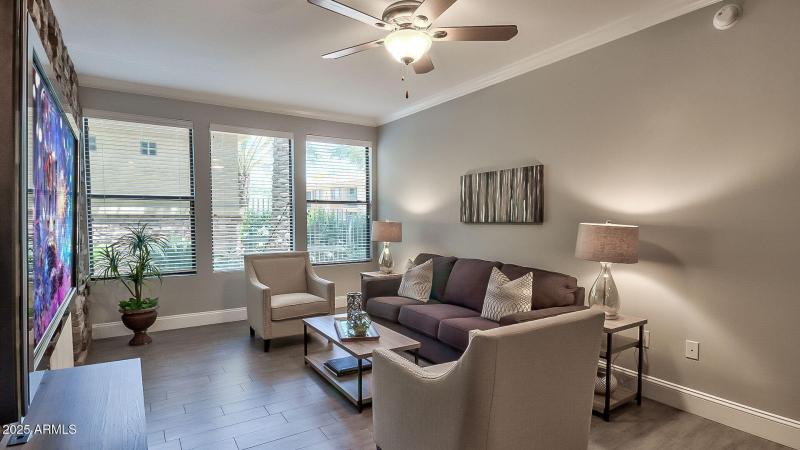 Lots of Natural Light