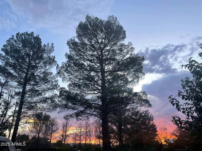 547404701_1119373460121986_8193720426864