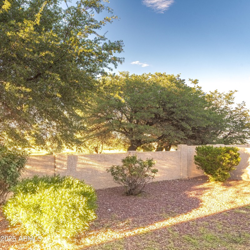 Mature Trees Abound