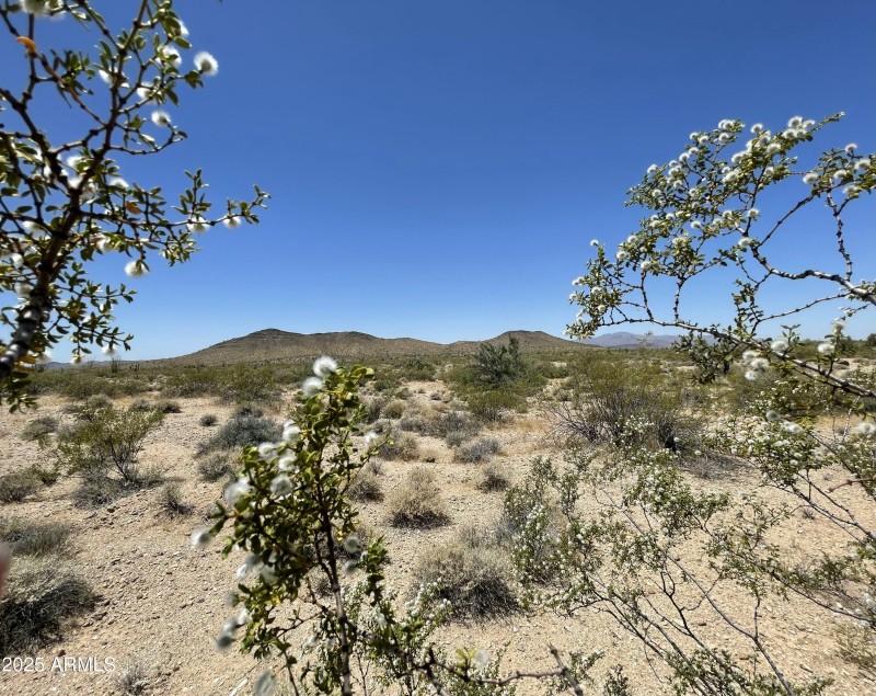 9B91FAD7-F551-435F-9F3E-E5D8FBD0A074_1_2