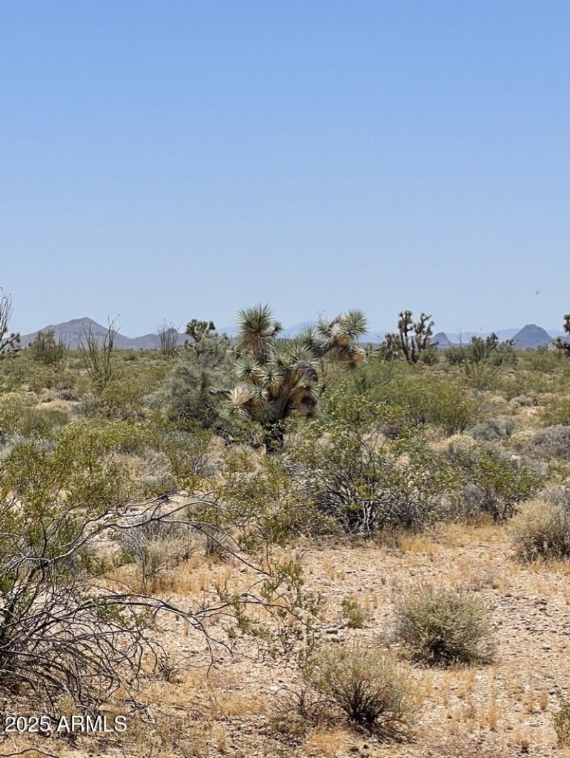 F2F1E08E-97F8-4B7B-8FE3-E85DB2412EBE_1_1