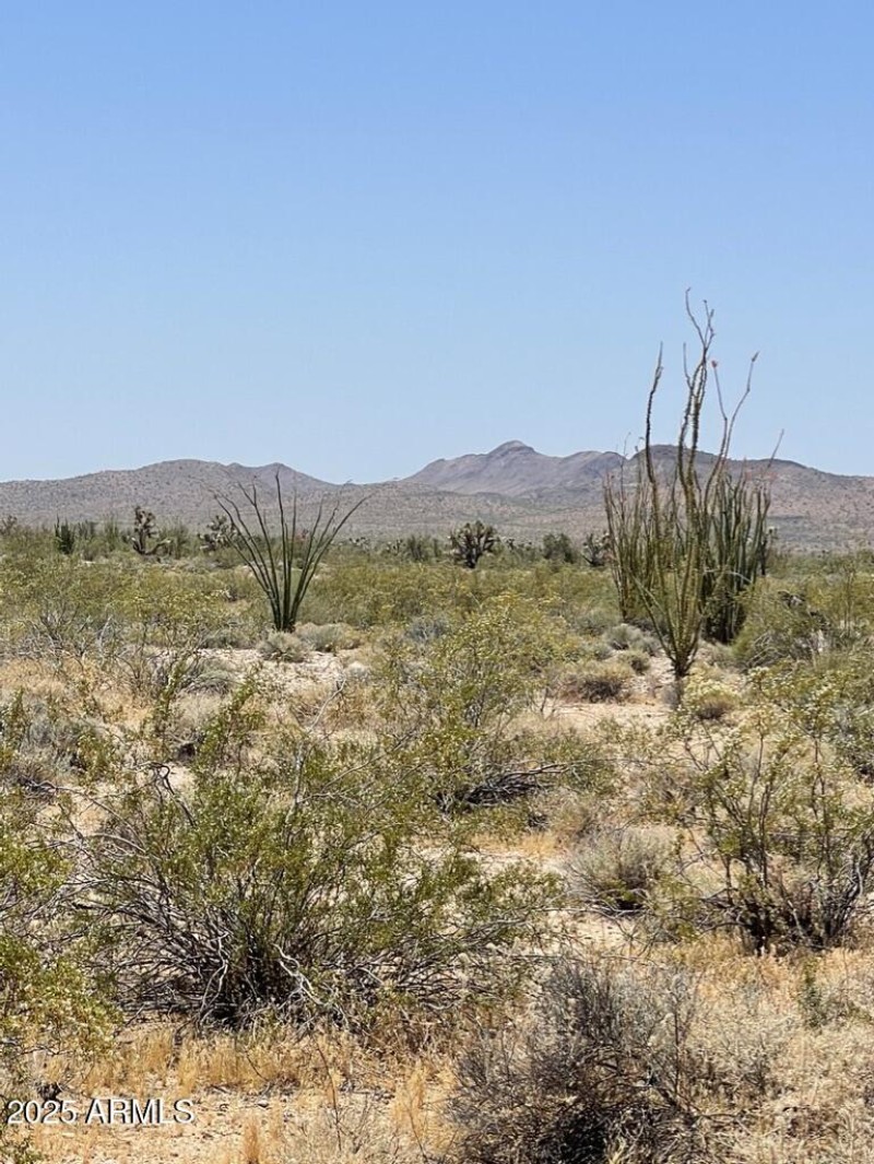 E2E36731-E4E4-4E0B-80BE-FD0DCC8B90AD_1_1