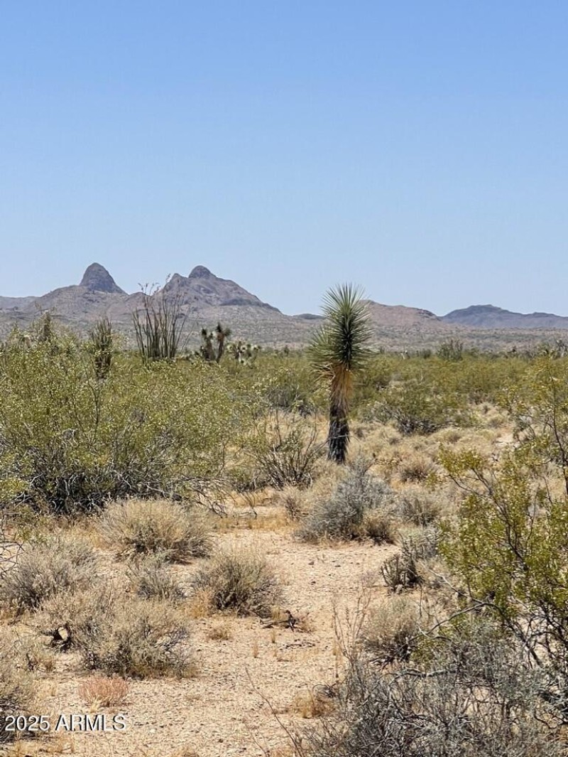 52F08769-F75B-4018-A677-FEC44FF730DF_1_1