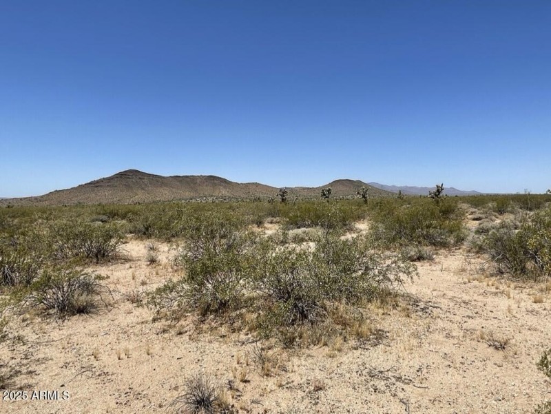 35554C7F-6CB0-46E9-8CFA-40B272C9770A_1_1