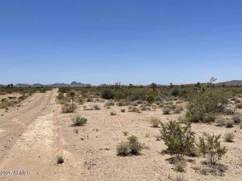 54FEAE82-D336-47A1-99D6-076EE8432066_1_1